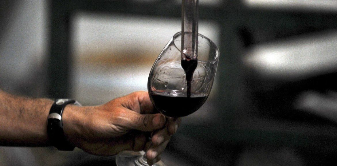 “El I.N.V es el único organismo habilitado para guiar y controlar a la industria vitivinícola”