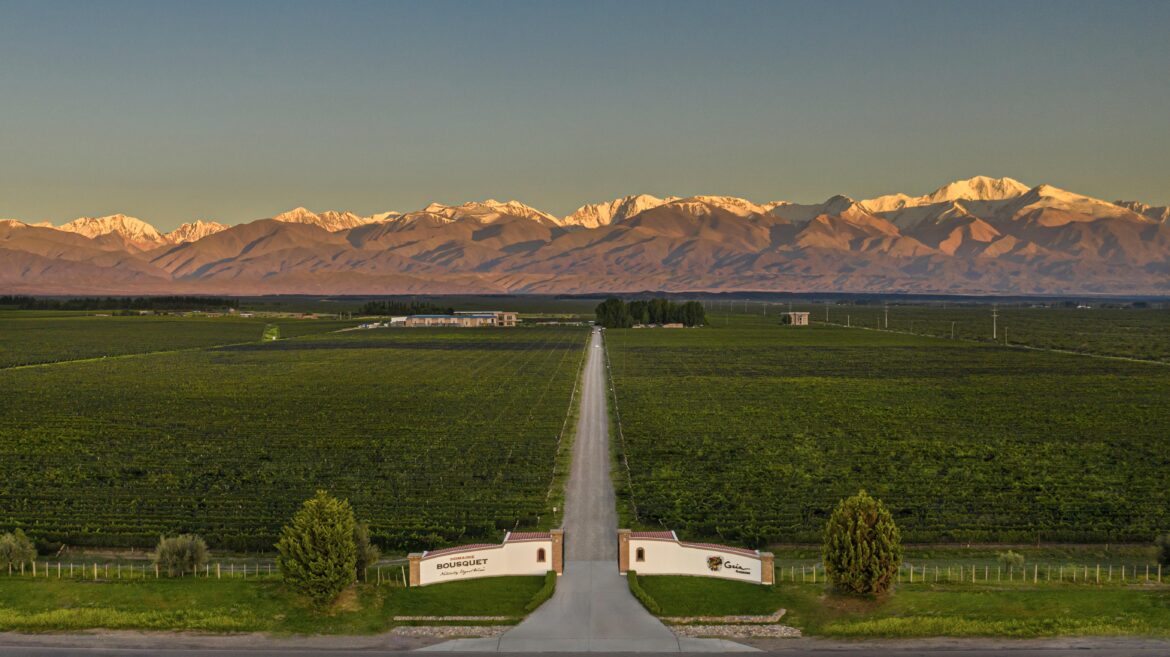 DOMAINE BOUSQUET ES LA PRIMERA BODEGA CON CERTIFICACIÓN ROC FUERA DE EE.UU.