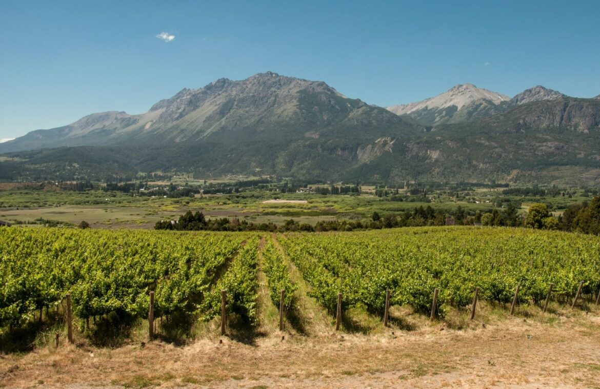 Chubut: la región vitivinícola mas austral de Argentina