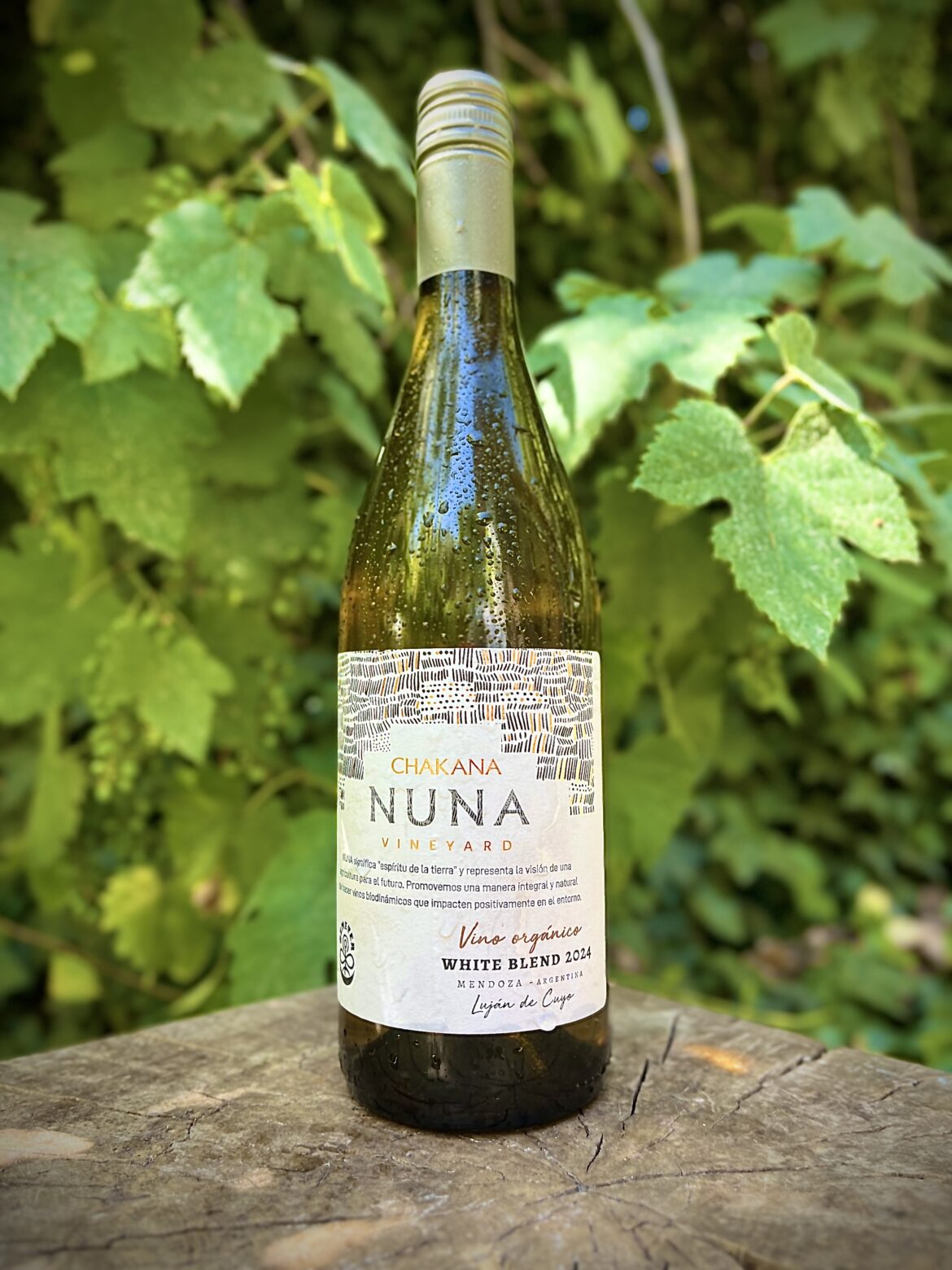 FRESCURA NATURAL PARA TERMINAR EL AÑO: NUNA VINEYARD WHITE BLEND 2024