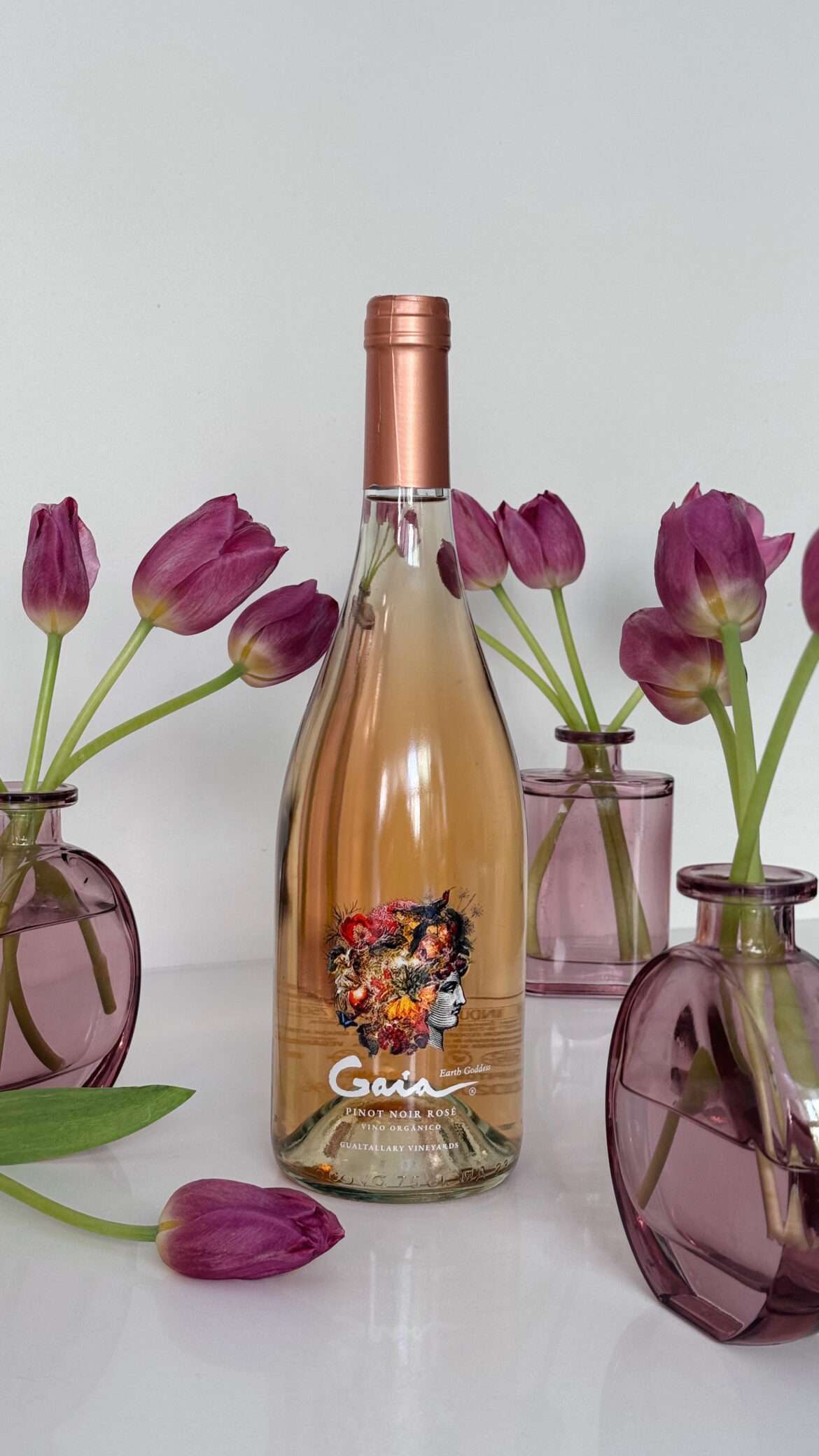 Un Rosado que Celebra la Elegancia del Pinot Noir y la Frescura de Gualtallary