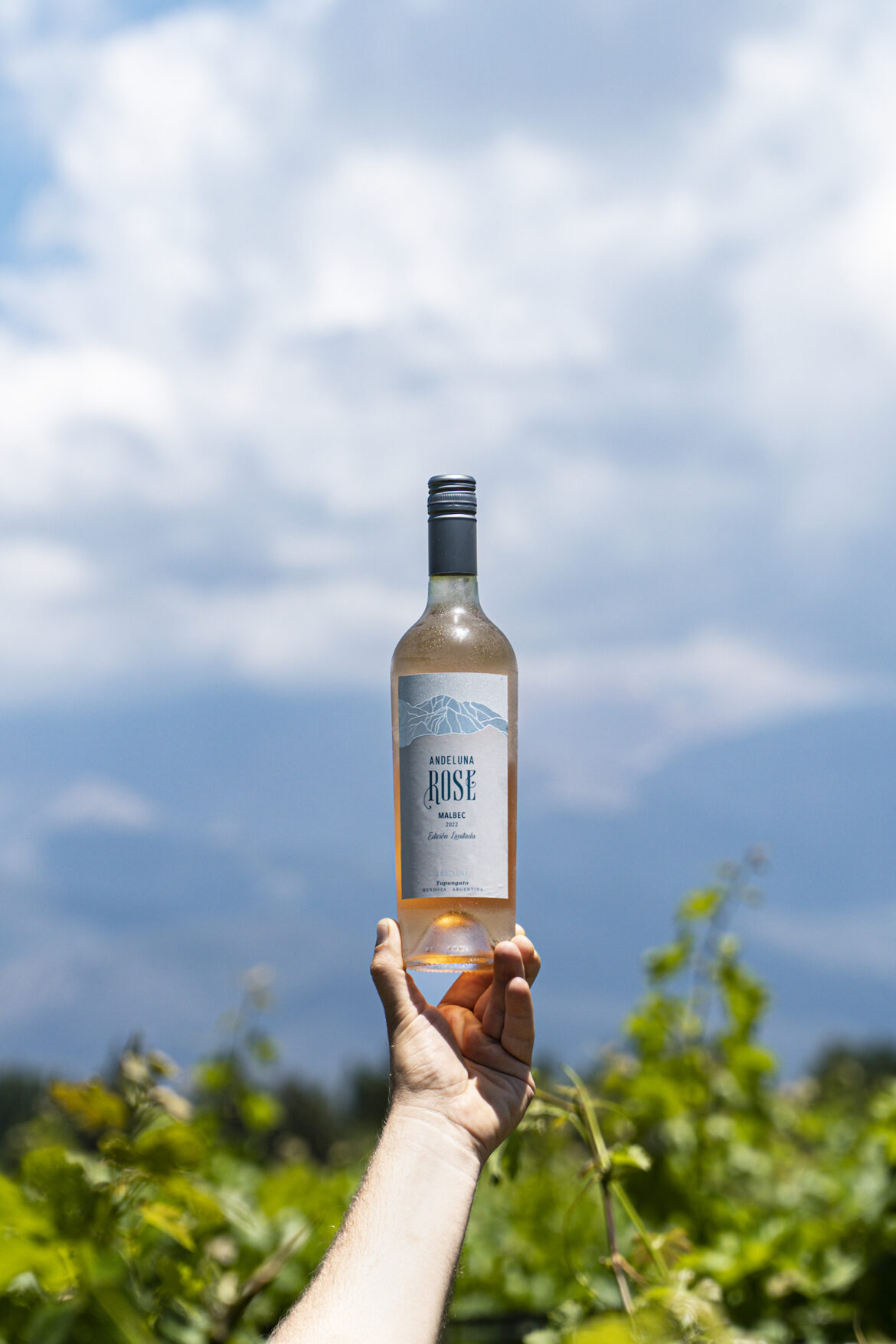 La Primavera se viste de Rosado de Montaña: Andeluna Edición Limitada Rosé de Malbec 2025