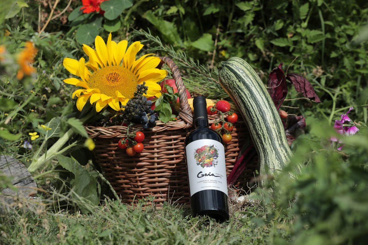 Vino Argentino: una expresión de nuestra Madre Tierra: Gaia Cabernet Franc Orgánico & Biodinámico 2022