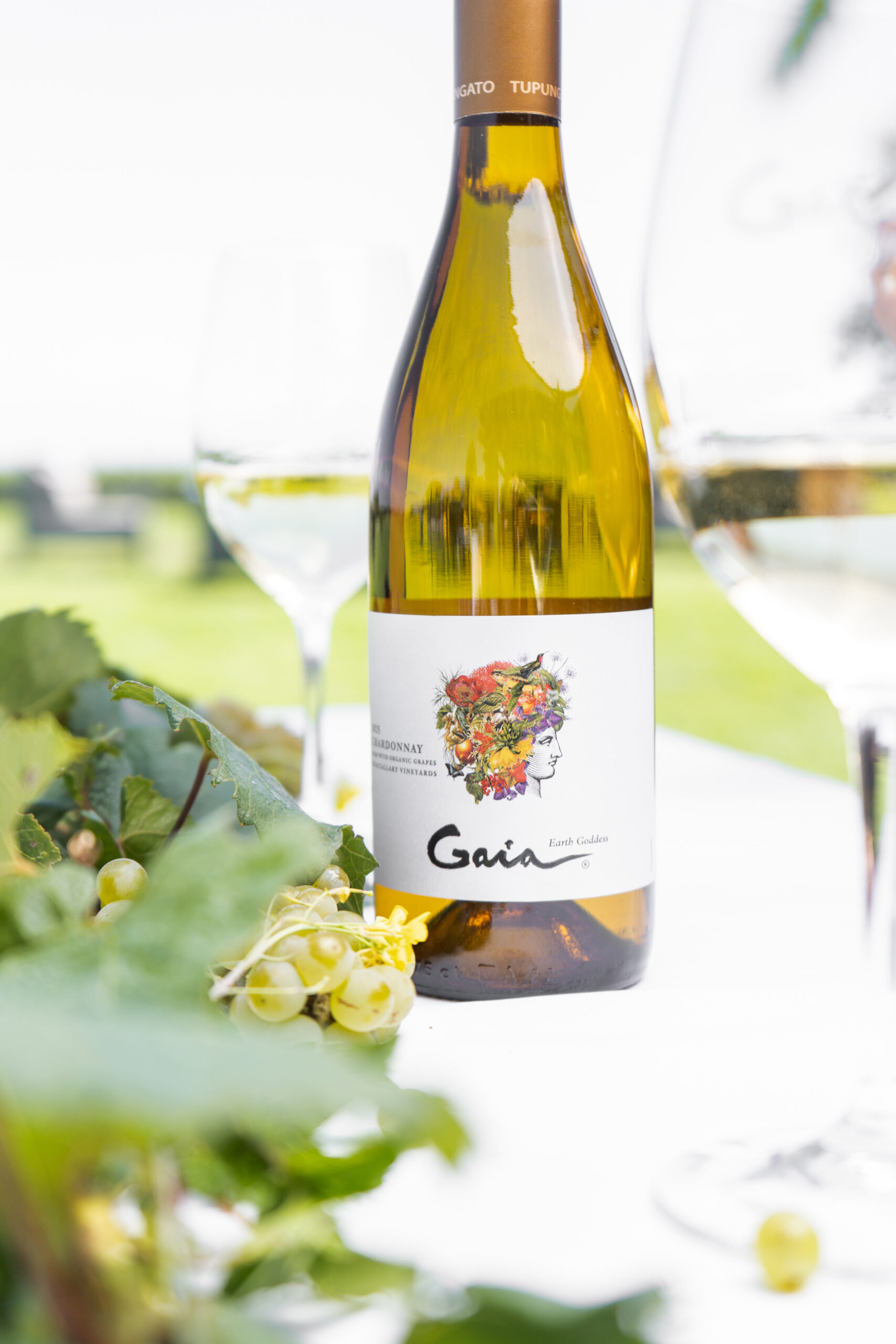 DOMAINE BOUSQUET CELEBRA EL DÍA DE LA MADRE TIERRA