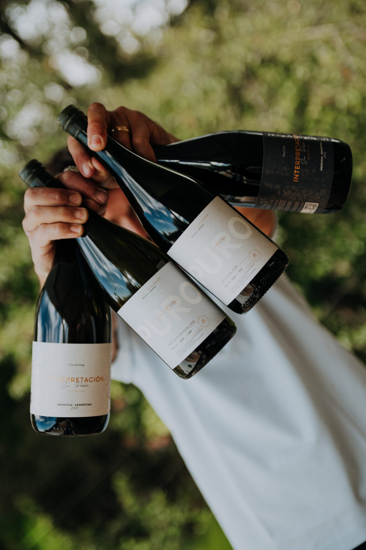 Los vinos de Gustavo Bertagna